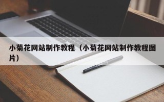 南阳小菊花网站制作教程（小菊花网站制作教程图片）