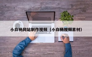 南阳小白杨网站制作视频（小白杨视频素材）
